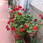 Vivaldi * Монделло