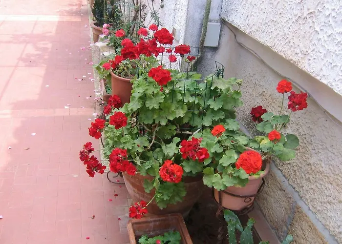 Vivaldi * Mondello